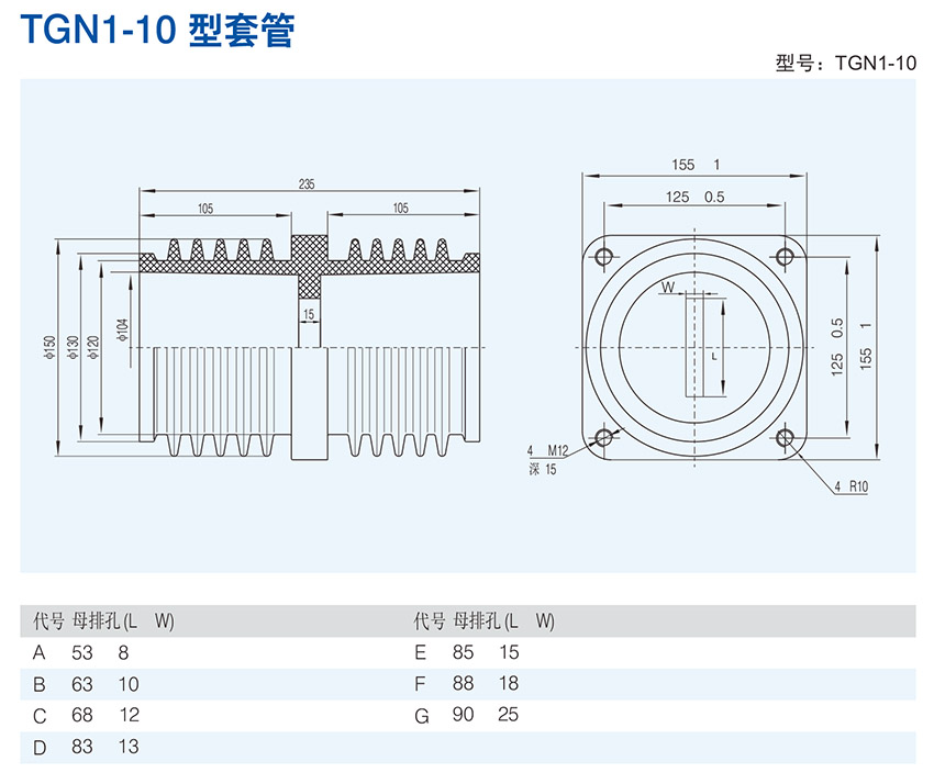 TGN1-10 型套管-主要参数.jpg